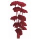 YARROW Red 22"  -OUT OF STOCK